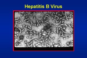 Hepatitis B Virus Hepatitis B Clinical Features Incubation