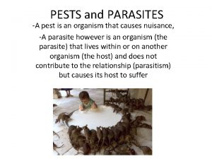 PESTS and PARASITES A pest is an organism