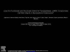 Loss of a Functionally and Structurally Distinct ldTranspeptidase