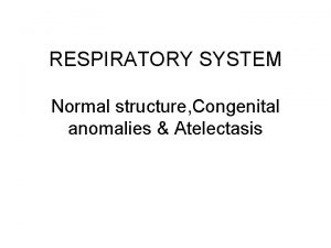 RESPIRATORY SYSTEM Normal structure Congenital anomalies Atelectasis Anatomy