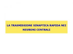 LA TRASMISSIONE SINAPTICA RAPIDA NEI NEURONI CENTRALI NMJ