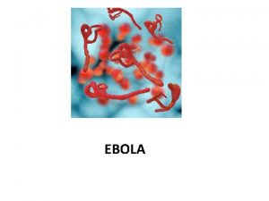 EBOLA 1 Kierowanie i koordynacja 2 Procedury 3