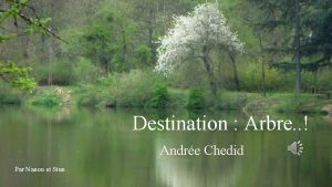 Destination Arbre Andre Chedid Par Nanou et Stan