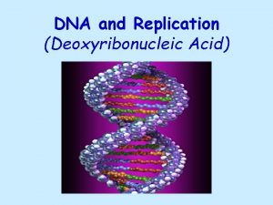 DNA and Replication Deoxyribonucleic Acid Chromosomes and DNA