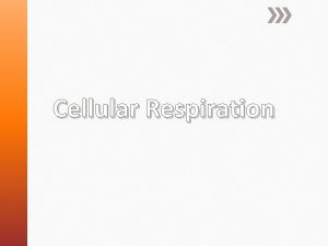 Cellular Respiration Cellular Respiration Cellular respiration is the