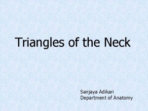 Triangles of the Neck Sanjaya Adikari Department of