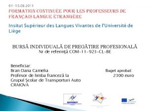 BURS INDIVIDUAL DE PREGTIRE PROFESIONAL Nr de referin