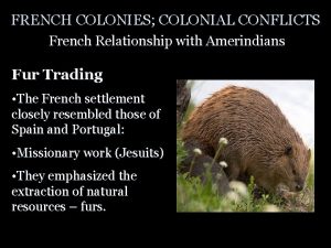 FRENCH COLONIES COLONIAL CONFLICTS French Relationship with Amerindians