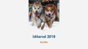 Iditarod 2019 By Mila Introduction The Iditarod started