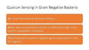 Quorum Sensing in Gram Negative Bacteria AIs Acylhomoserine