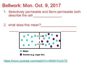 Bellwork Mon Oct 9 2017 1 Selectively permeable