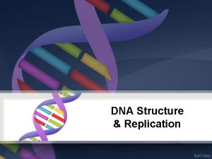 DNA Structure Replication DNA Structure Chromosomes are made