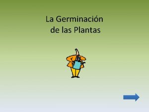 La Germinacin de las Plantas Cuento El Girasol