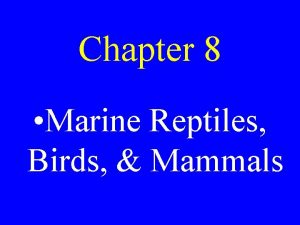 Chapter 8 Marine Reptiles Birds Mammals Tetrapods Four