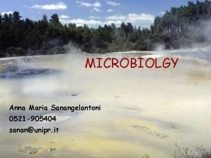 MICROBIOLGY Anna Maria Sanangelantoni 0521 905404 sananunipr it