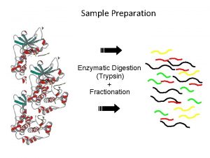 Sample Preparation Enzymatic Digestion Trypsin Fractionation Single Stage