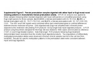 Supplemental Figure 3 Female premutation samples digested with