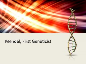 Mendel First Geneticist Mendel 1 st Geneticist 3