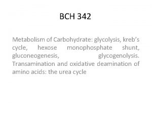 BCH 342 Metabolism of Carbohydrate glycolysis krebs cycle