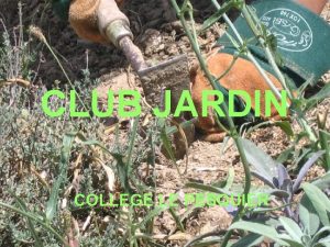 CLUB JARDIN COLLEGE LE PESQUIER NOTRE JARDIN AU