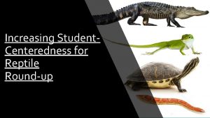 Increasing Student Centeredness for Reptile Roundup Reptile Roundup