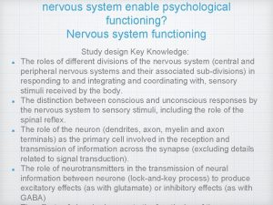 nervous system enable psychological functioning Nervous system functioning