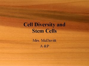 Cell Diversity and Stem Cells Mrs Mc Devitt