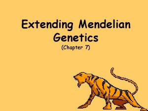 Extending Mendelian Genetics Chapter 7 Genetics is never