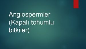 Angiospermler Kapal tohumlu bitkiler Derste Kullanlan Kaynaklar Kapal