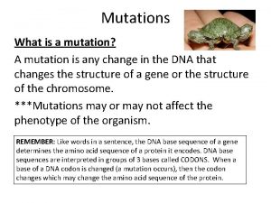 Mutations What is a mutation A mutation is
