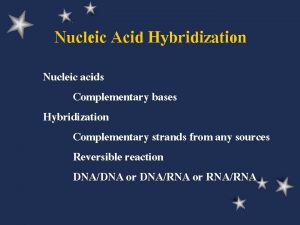 Nucleic Acid Hybridization Nucleic acids Complementary bases Hybridization