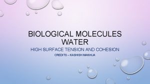 BIOLOGICAL MOLECULES WATER HIGH SURFACE TENSION AND COHESION