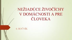 NEIADCE IVOCHY V DOMCNOSTI A PRE LOVEKA 6