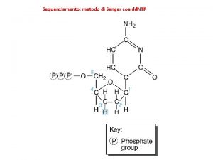 Sequenziamento metodo di Sanger con dd NTP Sequenziamento