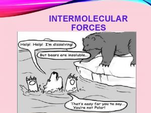 INTERMOLECULAR FORCES QUESTIONS Why do some solids dissolve