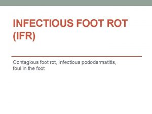 INFECTIOUS FOOT ROT IFR Contagious foot rot Infectious