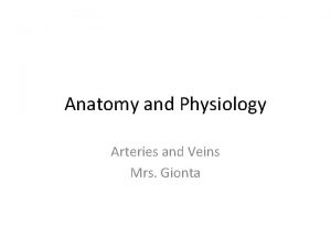 Anatomy and Physiology Arteries and Veins Mrs Gionta