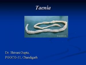 Taenia Dr Shivani Gupta PGGCG11 Chandigarh Classification Tapeworm