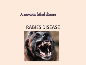 A zoonotic lethal disease RABIES DISEASE AGENT RHABDOVIRIDAE