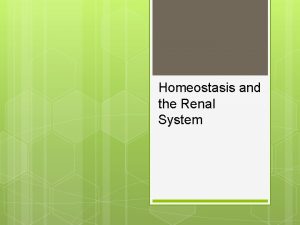 Homeostasis and the Renal System Homeostasis homo same