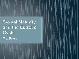 Sexual Maturity and the Estrous Cycle Ms Sears