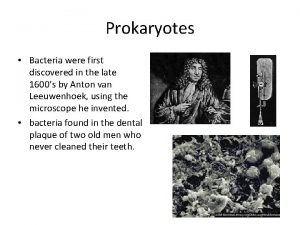 Prokaryotes Bacteria were first discovered in the late