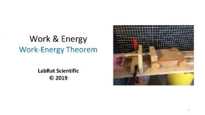 Work Energy WorkEnergy Theorem Lab Rat Scientific 2019