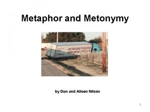 Metaphor and Metonymy by Don and Alleen Nilsen