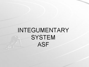 INTEGUMENTARY SYSTEM ASF Integumentary system Also called the