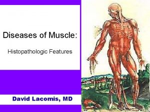 Diseases of Muscle Histopathologic Features David Lacomis MD