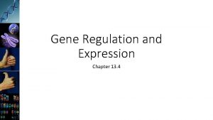 Gene Regulation and Expression Chapter 13 4 Prokaryotic