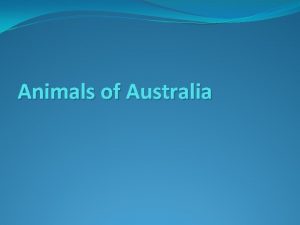 Animals of Australia Marsupials A marsupial is an