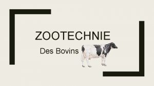 ZOOTECHNIE Des Bovins Plan du Cours I Gnralits