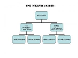 THE IMMUNE SYSTEM Although the innate and adaptive